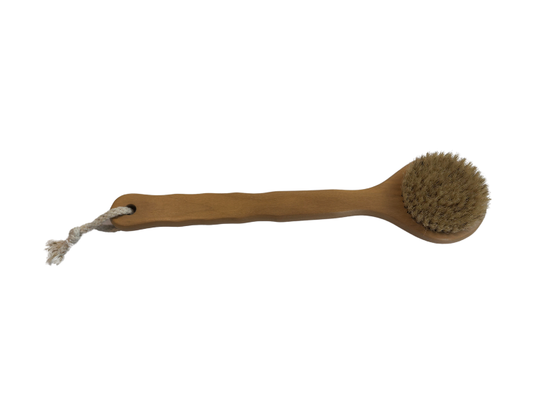 Body brush